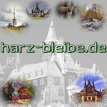 Harz-Bleibe Wernigerode Leilighet Eksteriør bilde