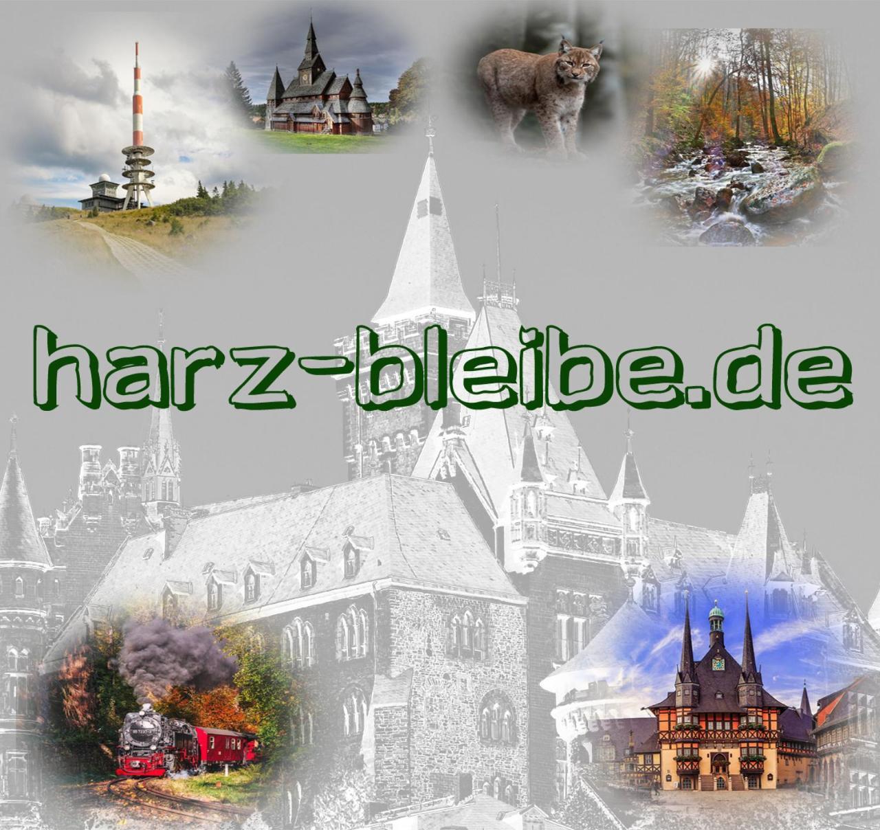Harz-Bleibe Wernigerode Leilighet Eksteriør bilde